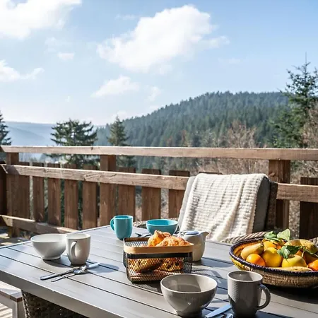Chalet Le Carnotzet Luxury With Covered Hot Tub Panoramic Sauna Gérardmer